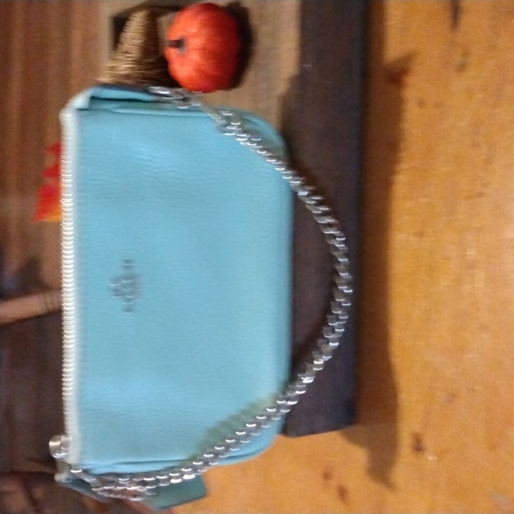 Mint Geen Coach Wristlet